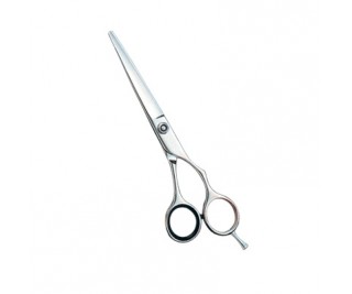 Hair cutting Scissors